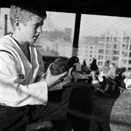 Stanley Kubrick. Shoe Shine Boy [Mickey with pigeons.], 1947. Museum of the City of New York. X2011.4.10368.374